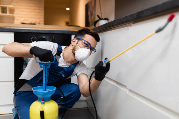 Pest Control for Restaurants in Macedonia, OH