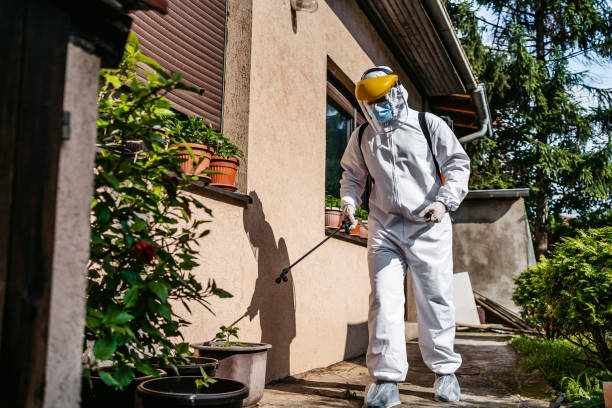 Best Pest Prevention Services  in Macedonia, OH