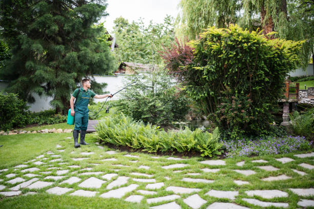 Best Best Pest Control Companies  in Macedonia, OH